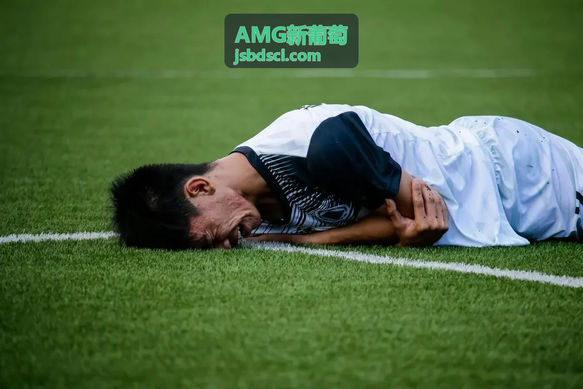 AMG新葡萄高端品种种植基地